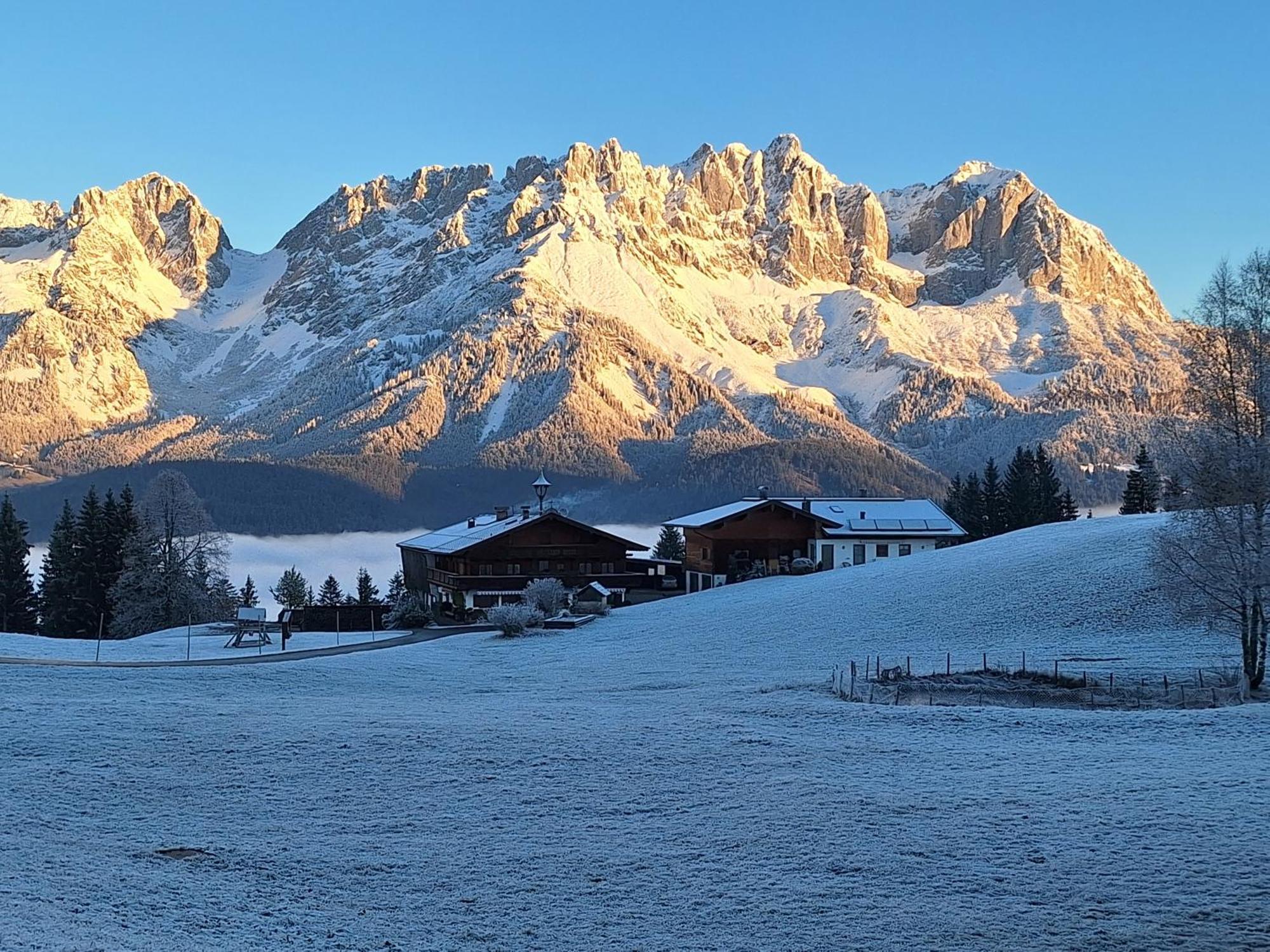 Apartment Unterhollenau Going am Wilden Kaiser 외부 사진